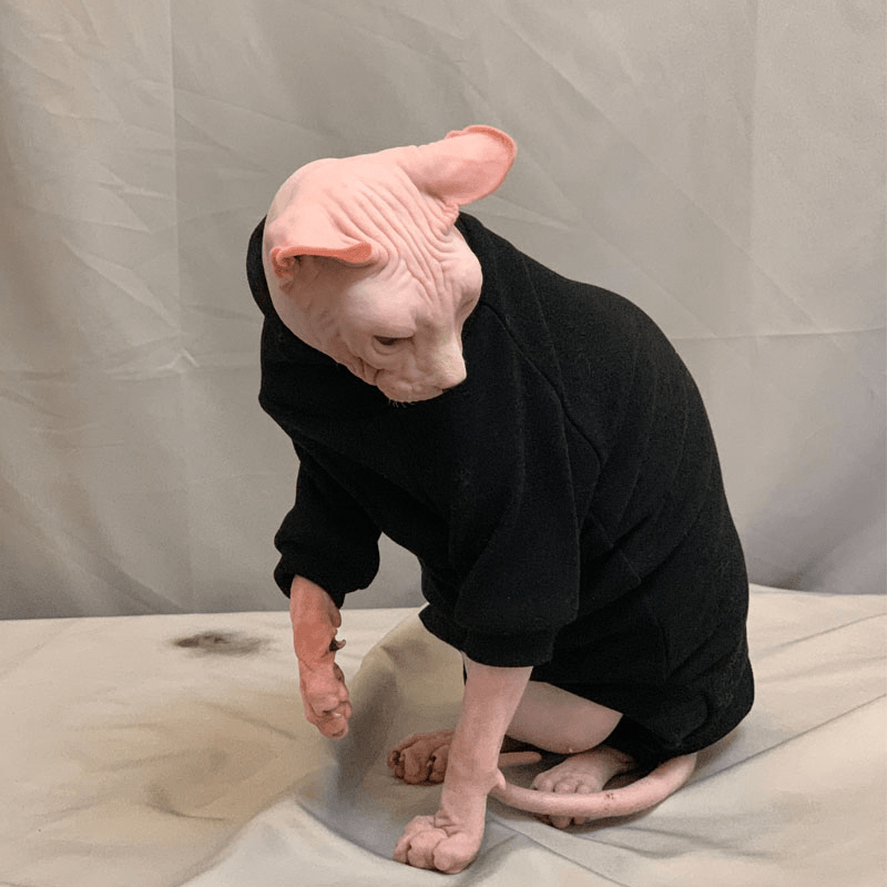 Sphynx Cat Sweaters Pullover Onesies Cashmere Sweater Devon Rex Clothes - PIKAPIKA