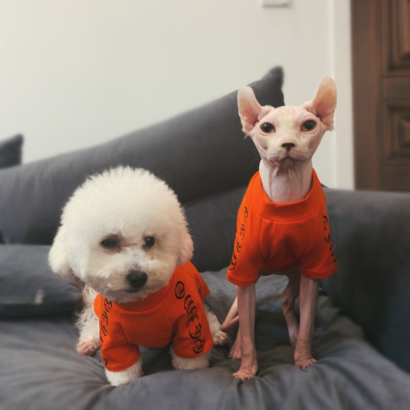 Sphynx Design T-shirts Breathable Cat Clothes - PIKAPIKA