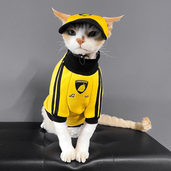 PIKAPIKA