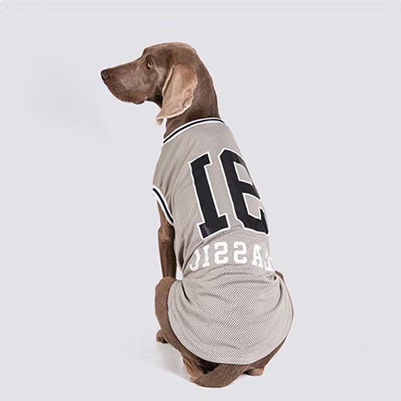 Sport Mesh Tank Top T Shirt Big Dog Clothing - PIKAPIKA