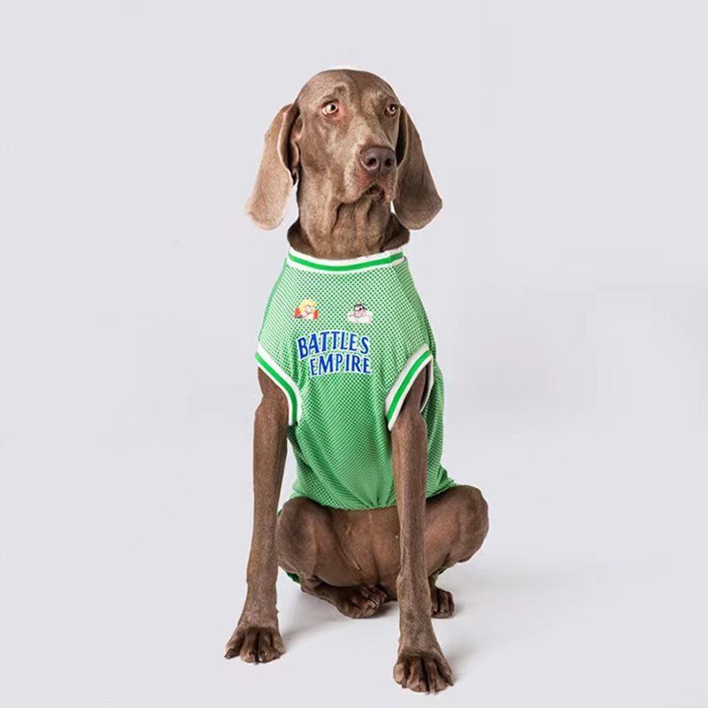 Sport Mesh Tank Top T Shirt Big Dog Clothing - PIKAPIKA