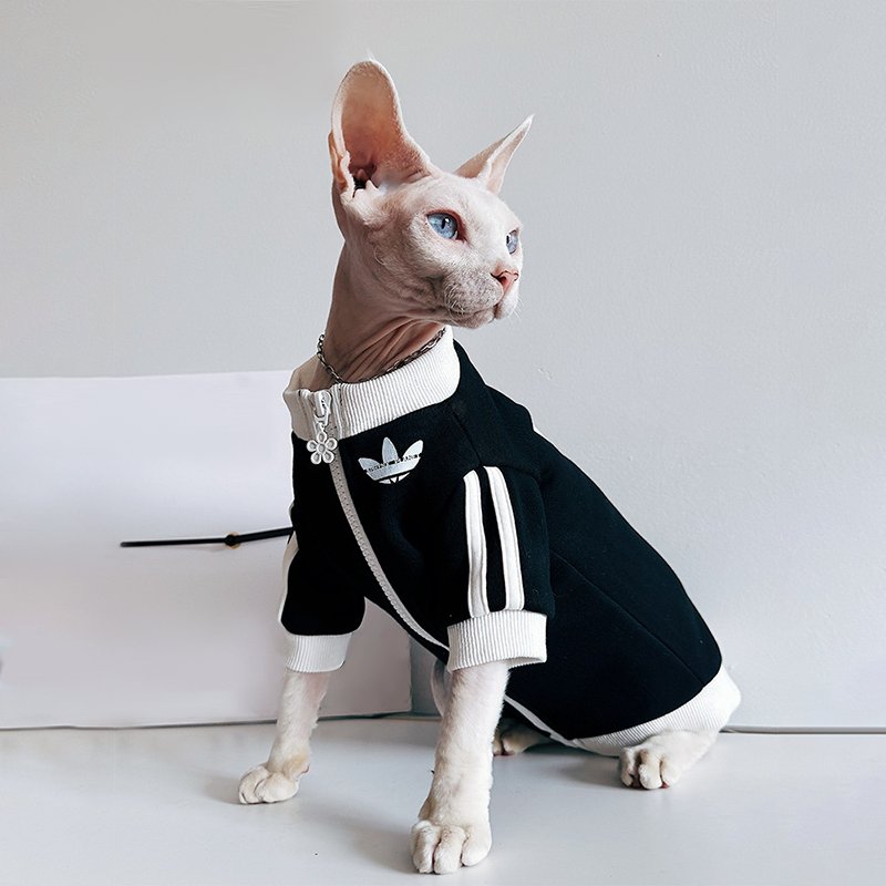 Sport Zip Jacket Casual Sphynx Cat Clothes - PIKAPIKA