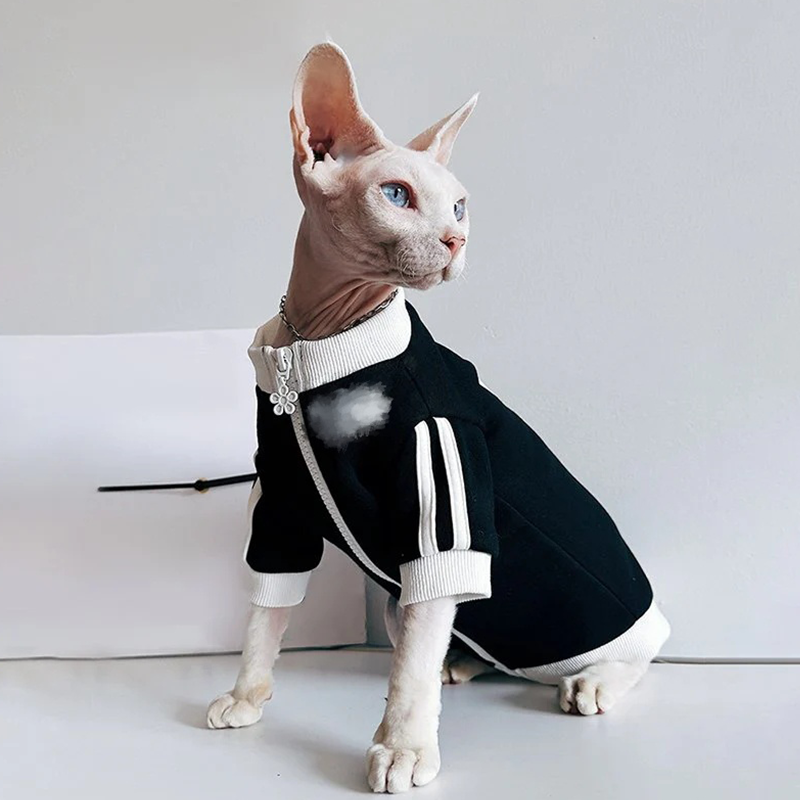sport-zip-jacket-casual-sphynx