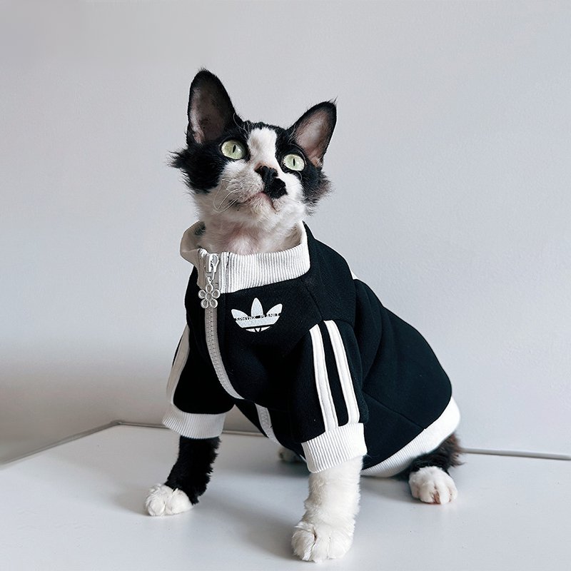 Sport Zip Jacket Casual Sphynx Cat Clothes - PIKAPIKA