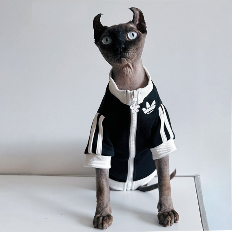 Sport Zip Jacket Casual Sphynx Cat Clothes - PIKAPIKA