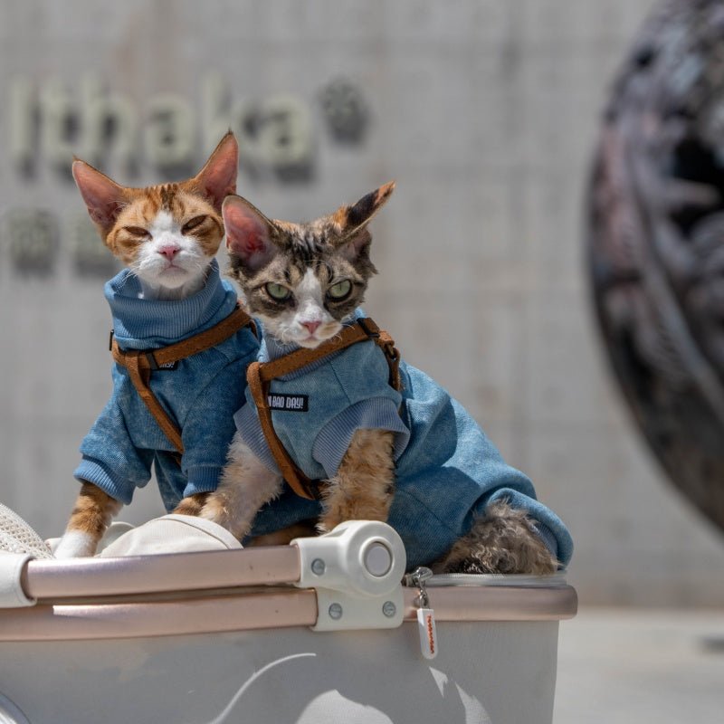 Stretch Denim Shirt Sphynx Cat Clothes Devon Rex Cozy Outfit - PIKAPIKA