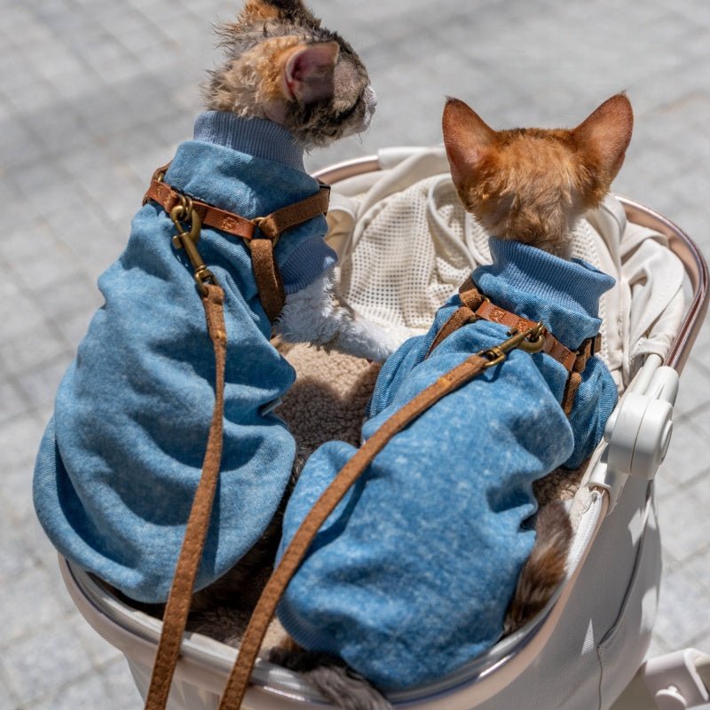 Stretch Denim Shirt Sphynx Cat Clothes Devon Rex Cozy Outfit - PIKAPIKA