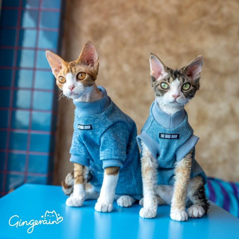 Stretch Denim Shirt Sphynx Cat Clothes Devon Rex Cozy Outfit - PIKAPIKA