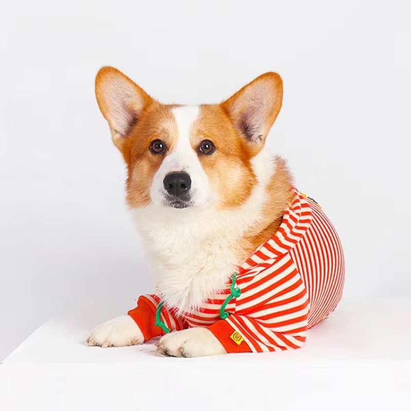 Stripe Hoodie Corgi Dog Clothes - PIKAPIKA