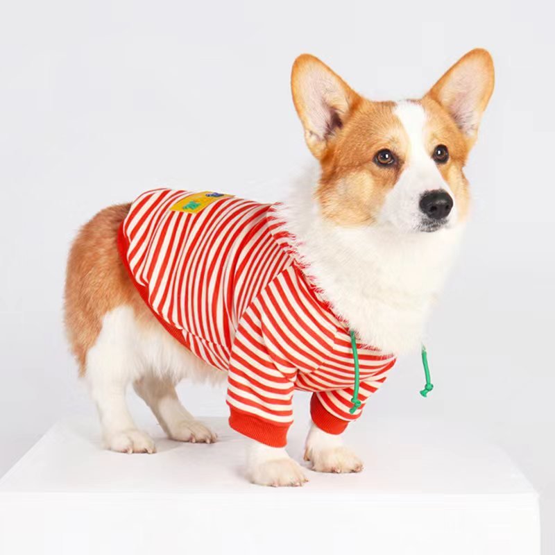 Corgi Dog Clothes Sweaters Jumpers Shirts Coats Jackets PIKAPIKA