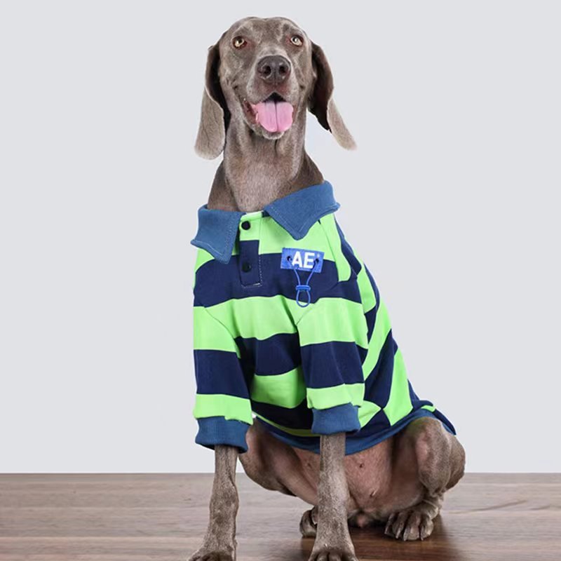 Stripe Polo T Shirt Big Dog Clothing - PIKAPIKA