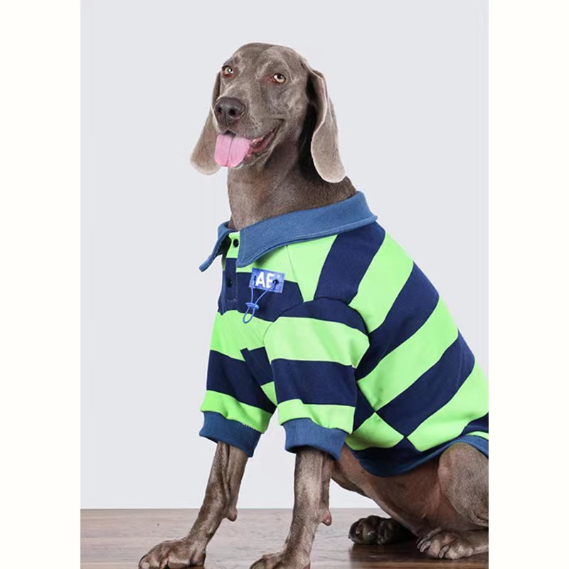 Stripe Polo T Shirt Big Dog Clothing - PIKAPIKA
