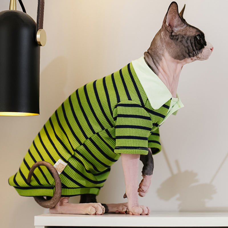 Stripe Polo T-shirt Sphynx Cat Clothes - PIKAPIKA