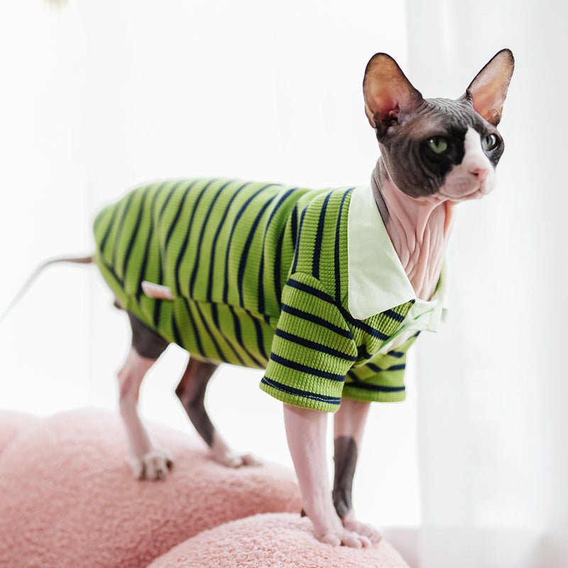 Stripe Polo T-shirt Sphynx Cat Clothes - PIKAPIKA