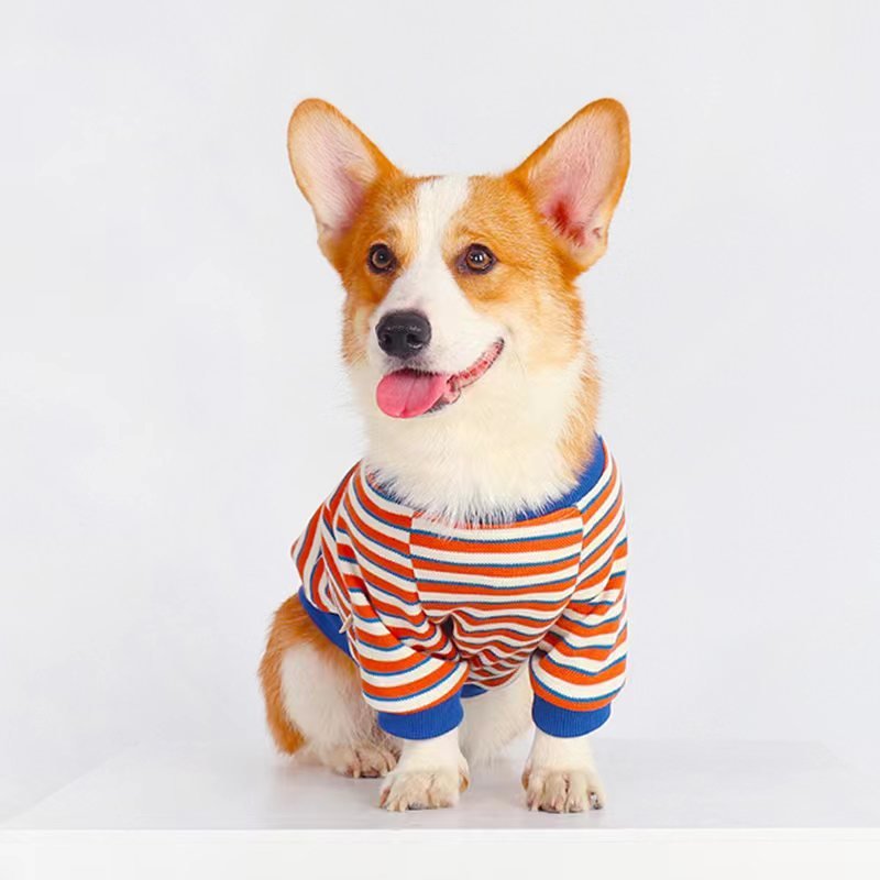 Stripe Shirt Corgi Dog Clothes - PIKAPIKA