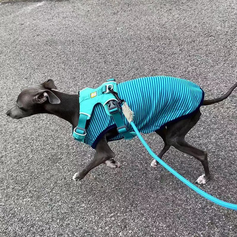 Stripe Shirt Tank Top Italian Greyhound Whippet Dog Clothes