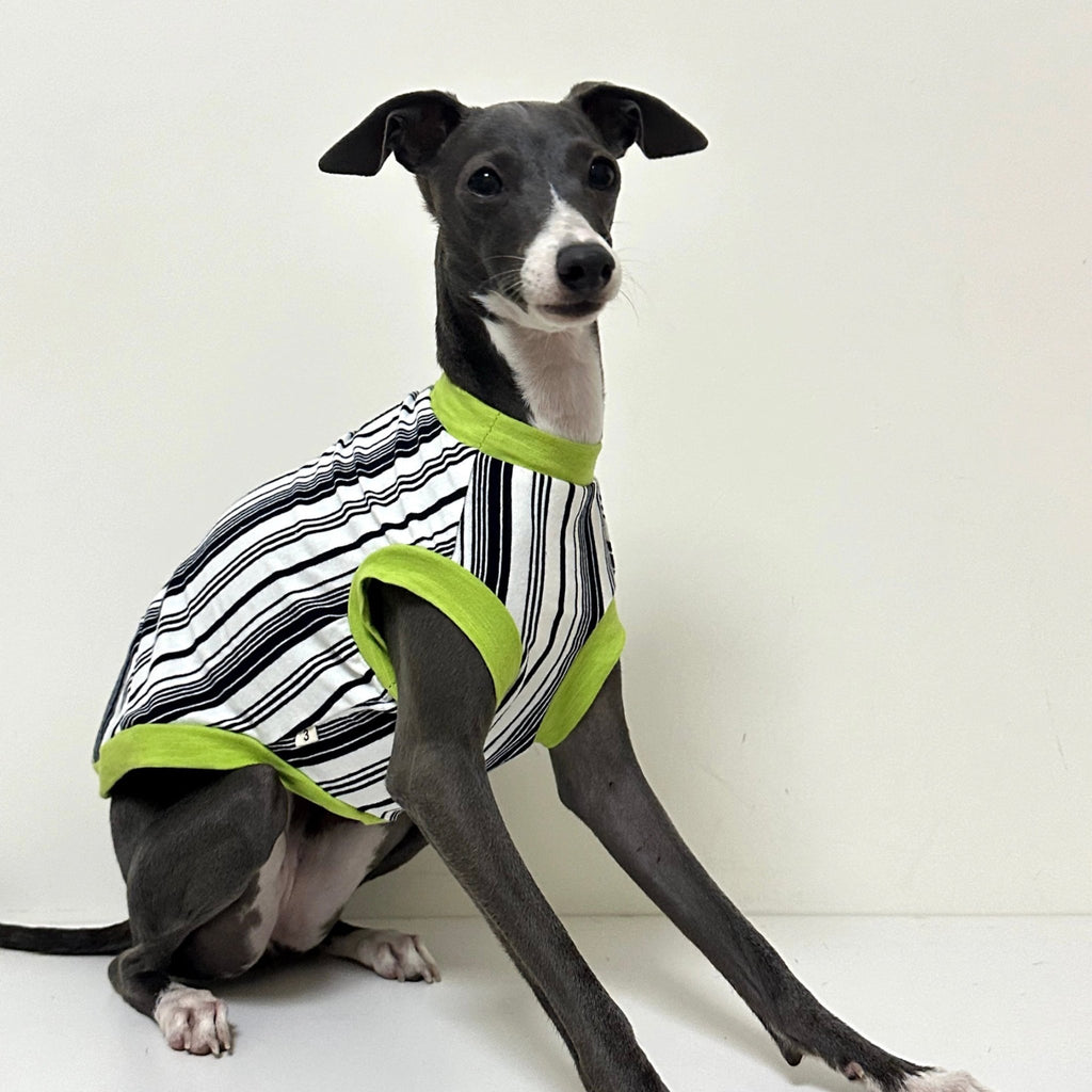 Stripe Shirt Tank Top Italian Greyhound Whippet Dog Clothes - PIKAPIKA