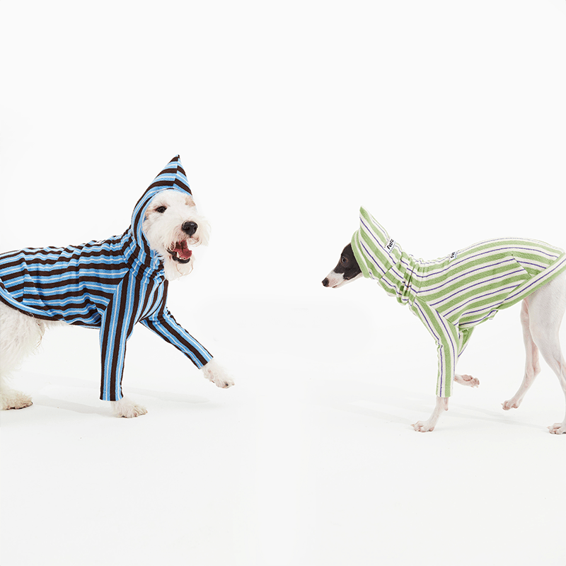 Stripe Shirts with Hat Dog Pajamas Italian Greyhound Clothes Green - PIKAPIKA
