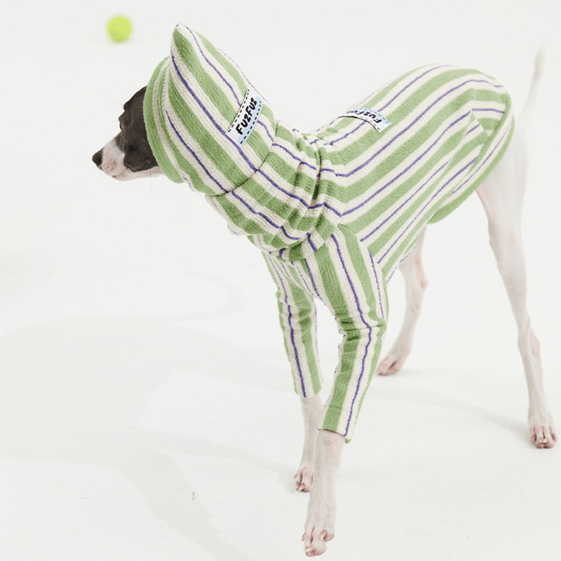 Stripe Shirts with Hat Dog Pajamas Italian Greyhound Clothes Green - PIKAPIKA
