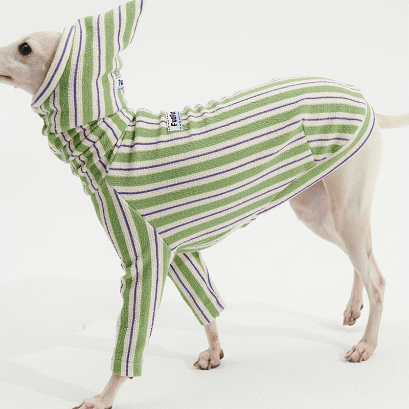 Stripe Shirts with Hat Dog Pajamas Italian Greyhound Clothes Green - PIKAPIKA