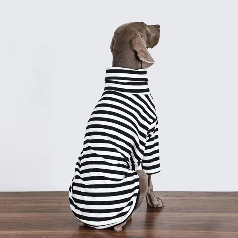 Stripe T Shirt Top Big Dog Clothing - PIKAPIKA