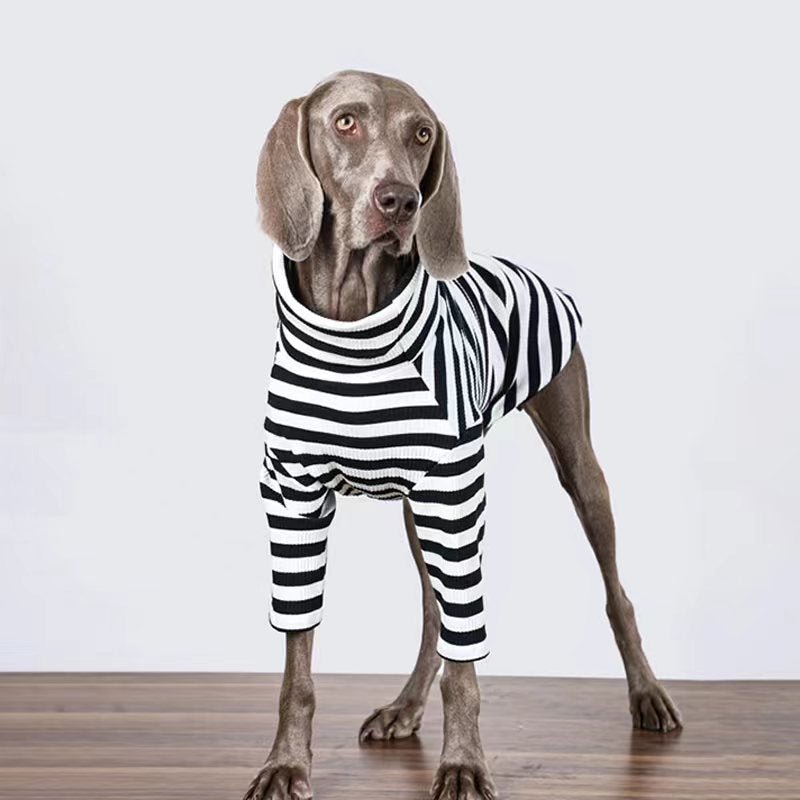 Stripe T Shirt Top Big Dog Clothing - PIKAPIKA