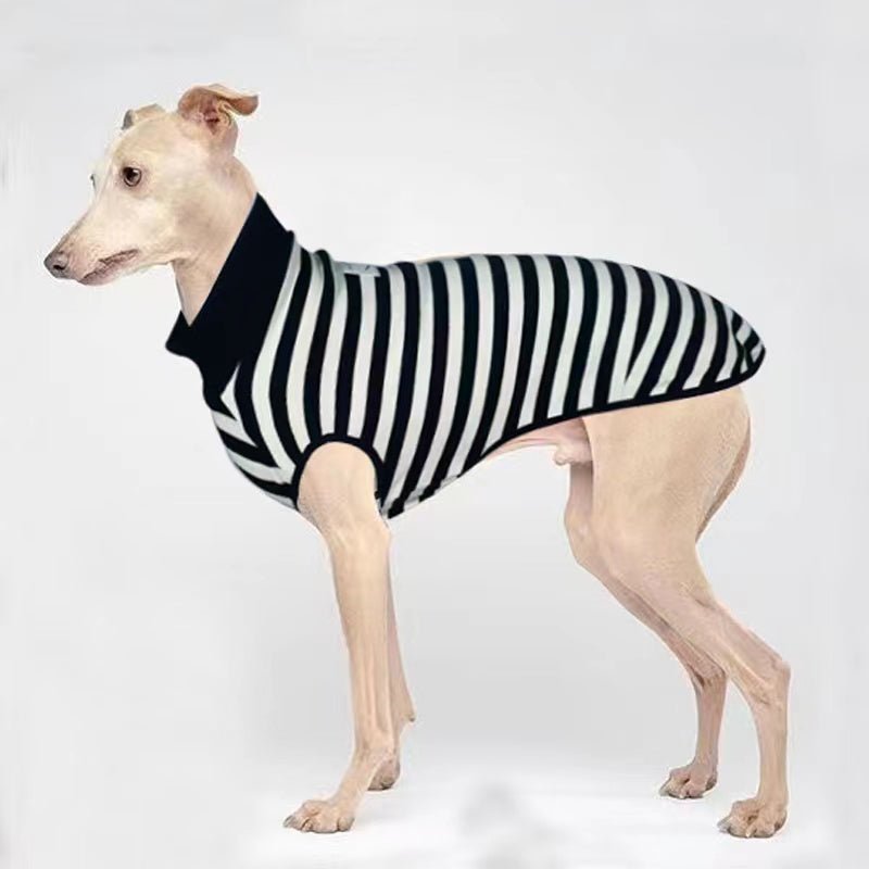 Stripe Tank Top Shirt Italian Greyhound Whippet Dog Clothes - PIKAPIKA