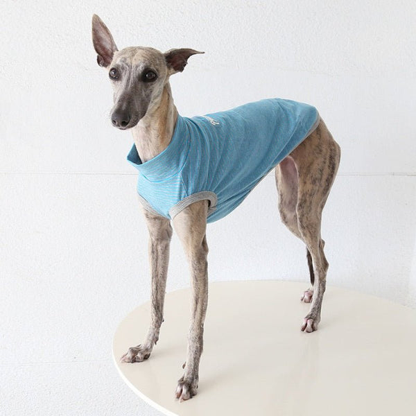 PIKAPIKA
