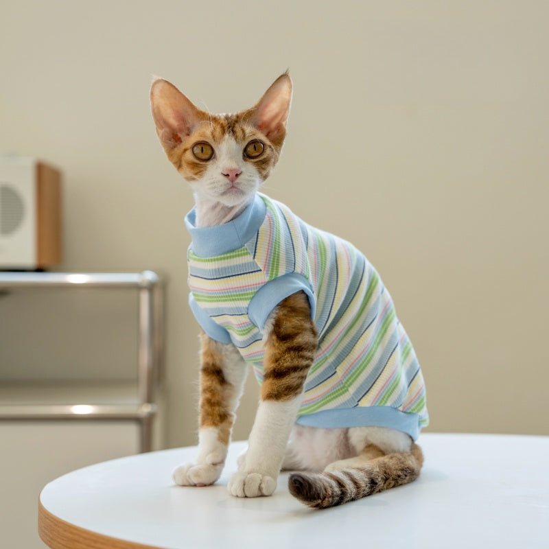 Striped Vest Fresh Air - Conditioned Base Layer Shirt Sphynx Cat Clothes - PIKAPIKA