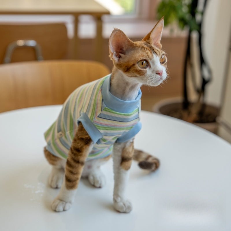 Striped Vest Fresh Air - Conditioned Base Layer Shirt Sphynx Cat Clothes - PIKAPIKA
