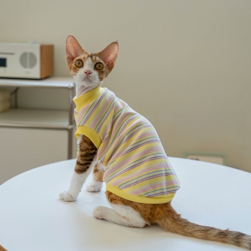 Striped Vest Fresh Air - Conditioned Base Layer Shirt Sphynx Cat Clothes - PIKAPIKA