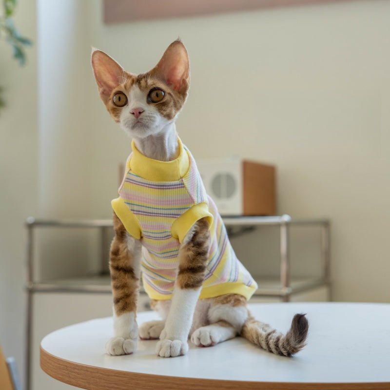 Striped Vest Fresh Air - Conditioned Base Layer Shirt Sphynx Cat Clothes - PIKAPIKA