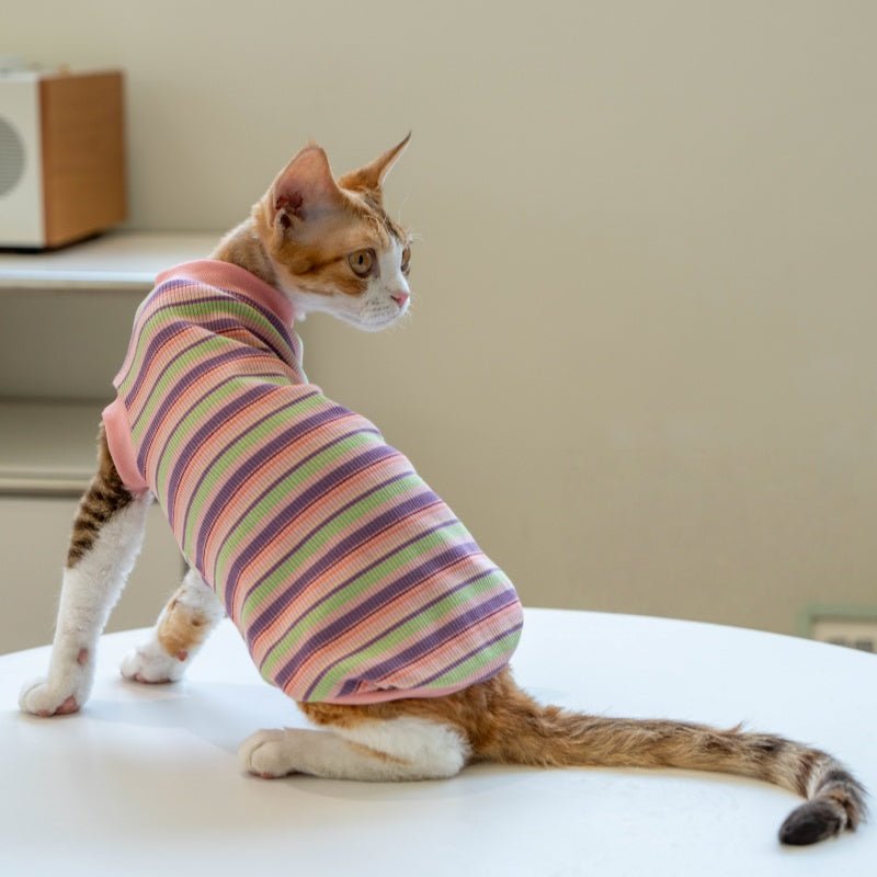 Striped Vest Fresh Air - Conditioned Base Layer Shirt Sphynx Cat Clothes - PIKAPIKA