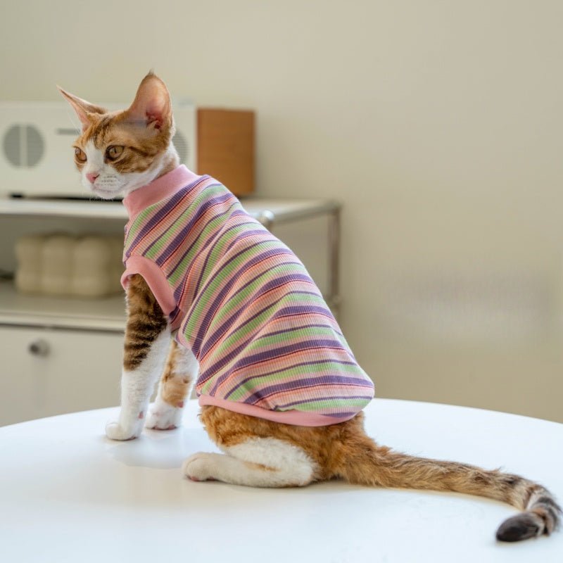Striped Vest Fresh Air - Conditioned Base Layer Shirt Sphynx Cat Clothes - PIKAPIKA