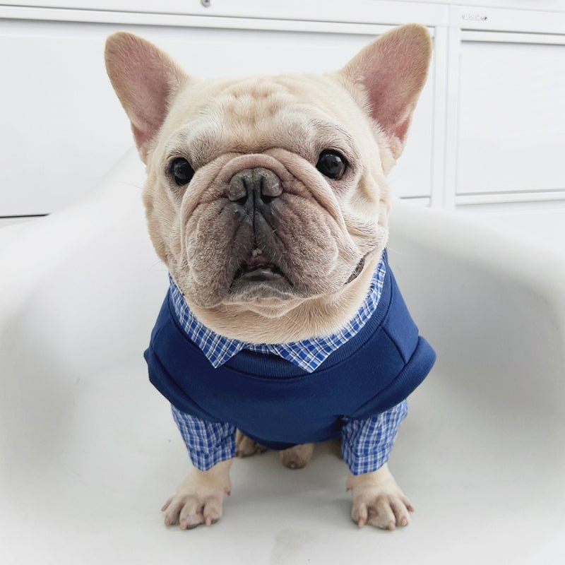 Stylish Shirts Dog Clothes Bulldog Blue - PIKAPIKA
