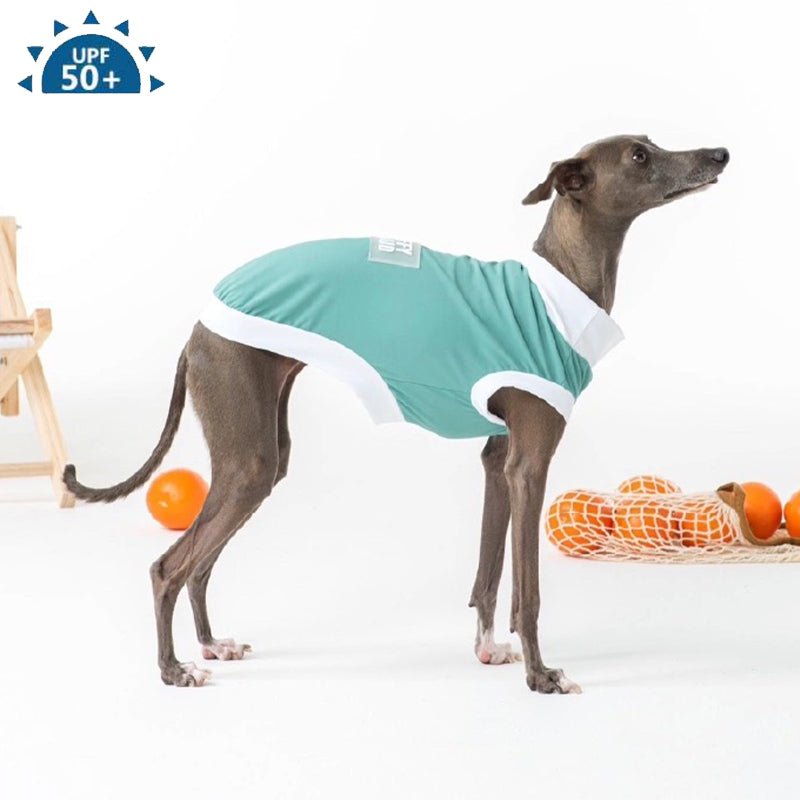 Summer Breathable T Shirt Tank Top Italian Greyhound Whippet Dog Clothes - PIKAPIKA