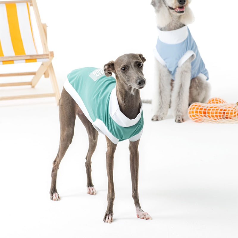 Summer Breathable T Shirt Tank Top Italian Greyhound Whippet Dog Clothes - PIKAPIKA