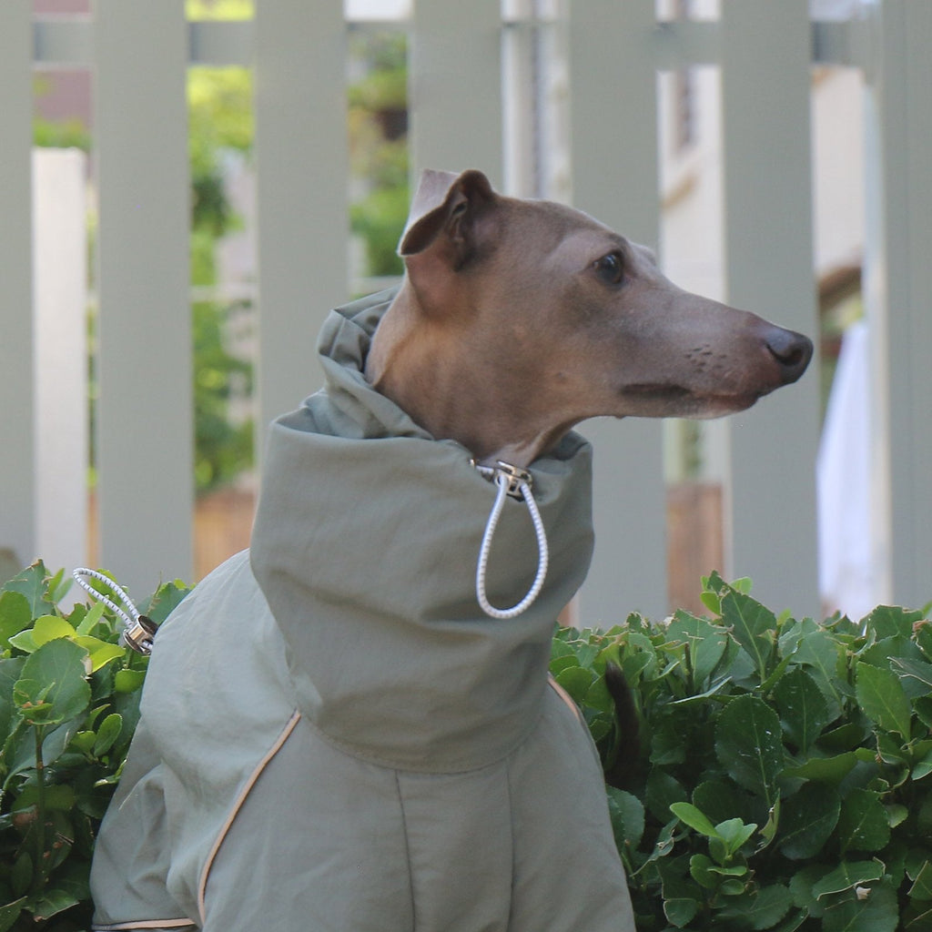 Sunproof Rain Jacket Adjustable High Collar Zipper Coat for Greyhounds - PIKAPIKA