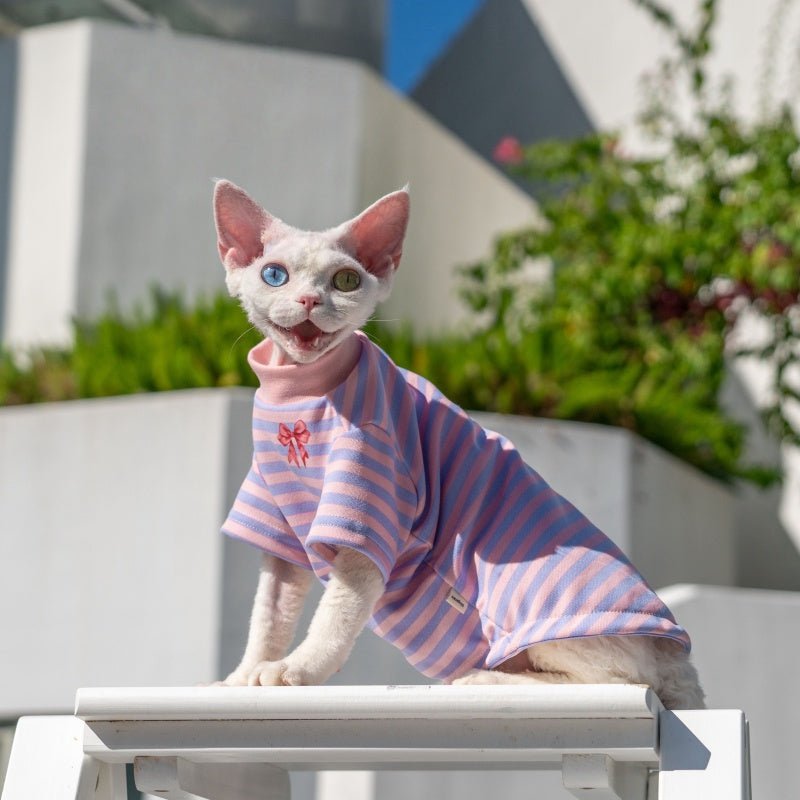 Sweet Bow Cotton Base Layer T-Shirt Sweatshirt Sphynx Cat Clothes - PIKAPIKA
