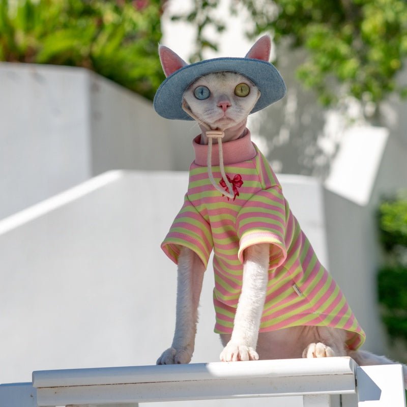 Sweet Bow Cotton Base Layer T-Shirt Sweatshirt Sphynx Cat Clothes - PIKAPIKA