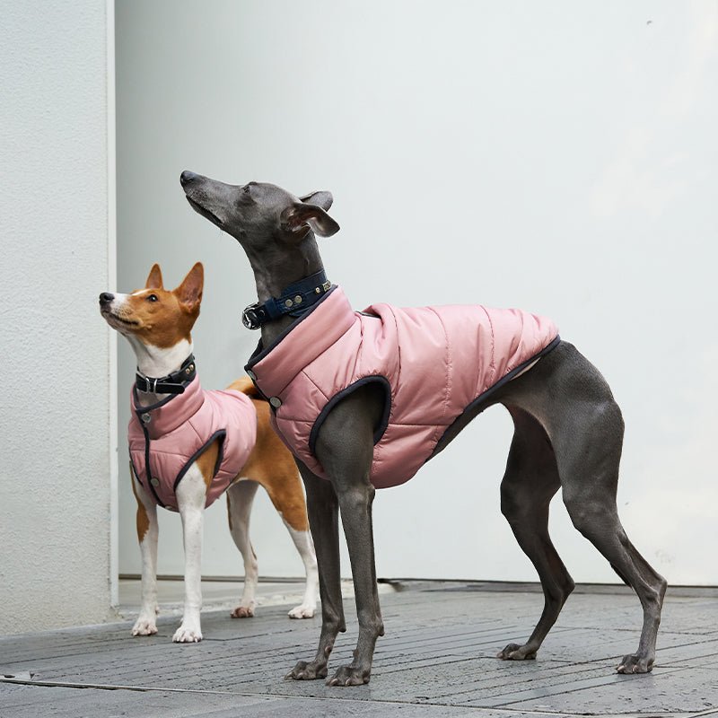 Tephra Down Padded Vest Warm Coat Italian Greyhound Whippet Dog Clothes - PIKAPIKA