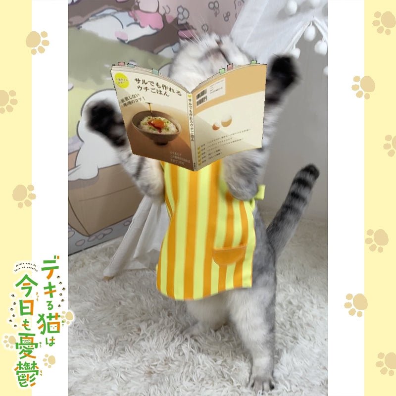 The Masterful Cat Is Depressed Again Today Cosplay Costume Pet Outfit - PIKAPIKA