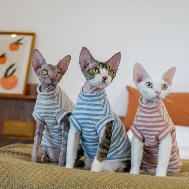 Thermal Fleece Stretch Shirts for Sphynx & Devon Cats - PIKAPIKA