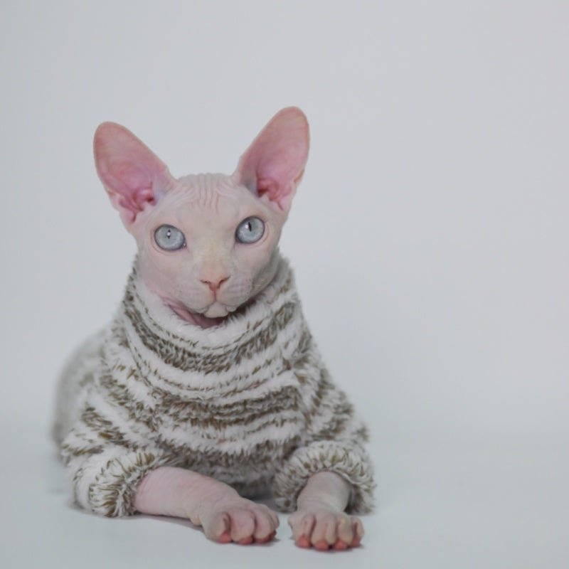Thick Stretch Warm Shirt Sphynx Cat Clothes - PIKAPIKA