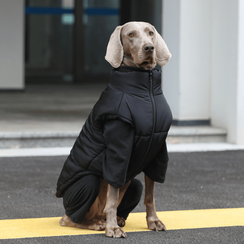 Thick Warm Vest Big Dog Clothes for Winter Cozy Puffer Pet Jacket - PIKAPIKA