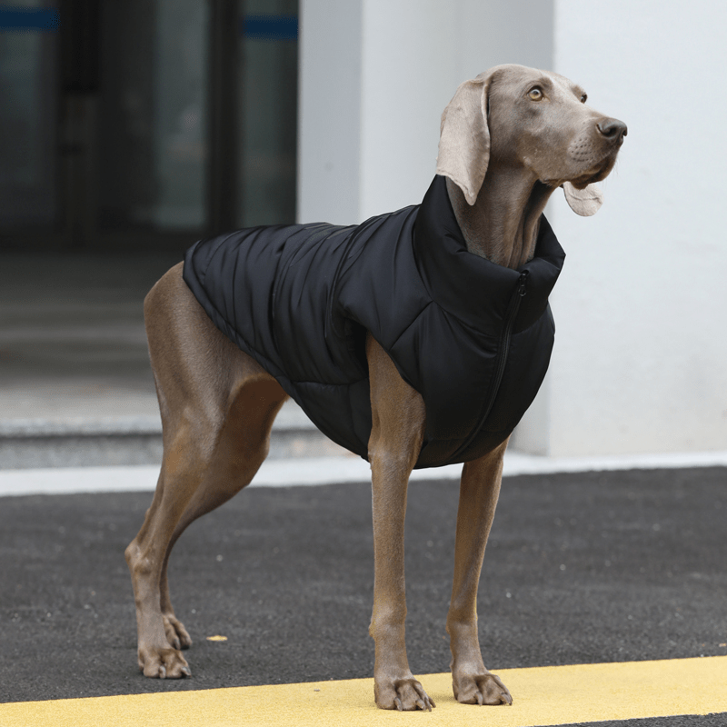 Warm Fleece Dog Cat Vest Jacket Pet Puppy Coat Winter Padded Clothes Warm Fleece Dog Cat Vest Jacket Pet Puppy Coat Winter Padded Clothes
