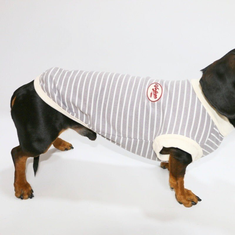 Thin Dachshund T-shirts Dog Sleeveless Clothes - PIKAPIKA