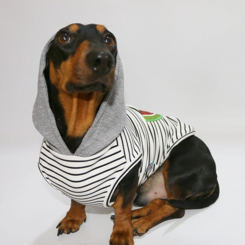 Thin Hoodie Sleeveless Dachshund Dog Clothes - PIKAPIKA