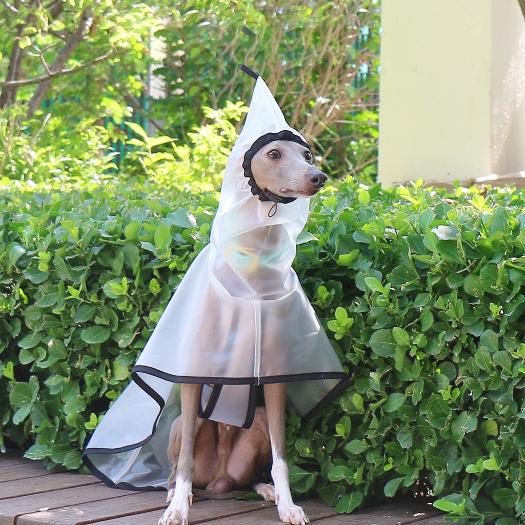 Transparent Windproof Raincoat Lightweight Waterproof Jacket for Greyhounds - PIKAPIKA