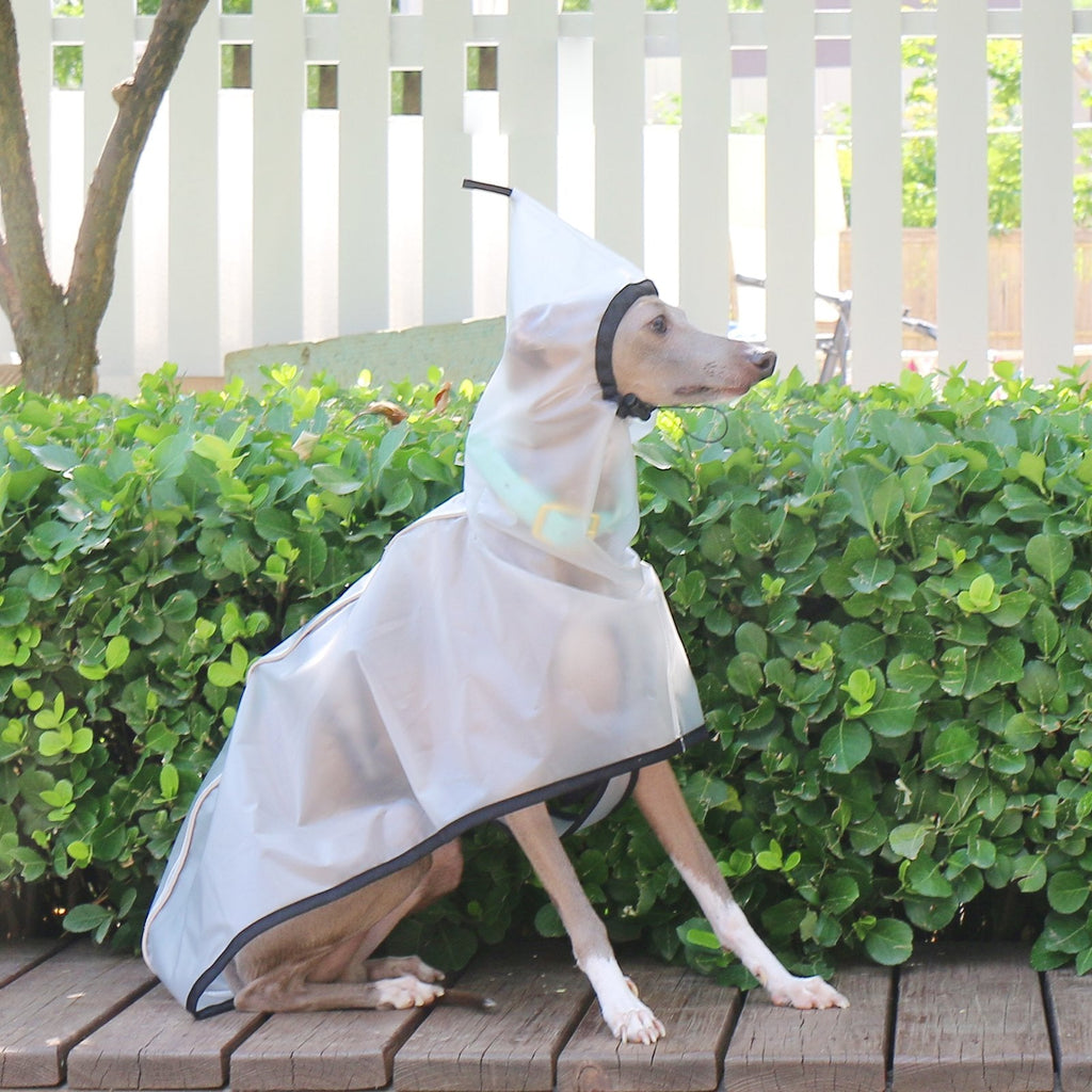 Transparent Windproof Raincoat Lightweight Waterproof Jacket for Greyhounds - PIKAPIKA
